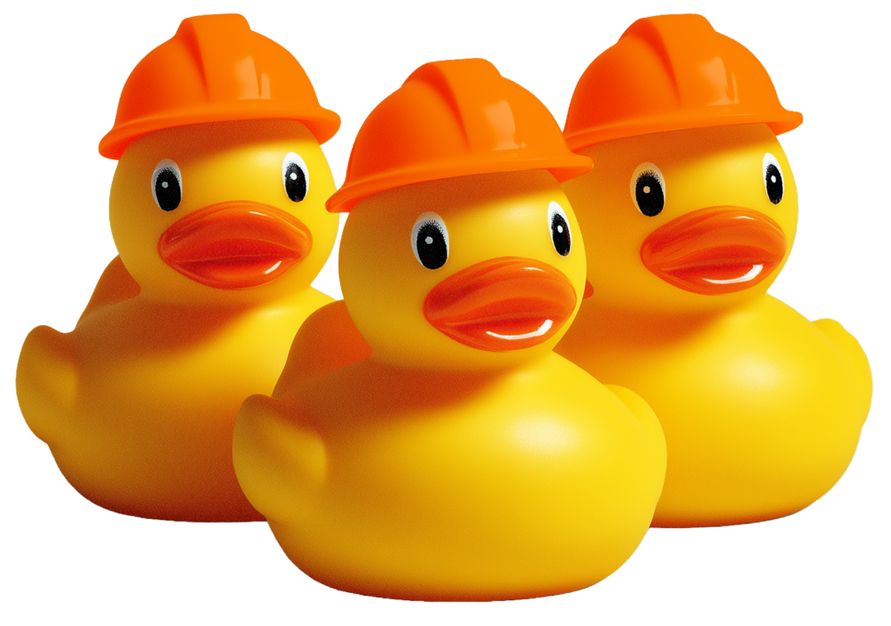 Ducks!